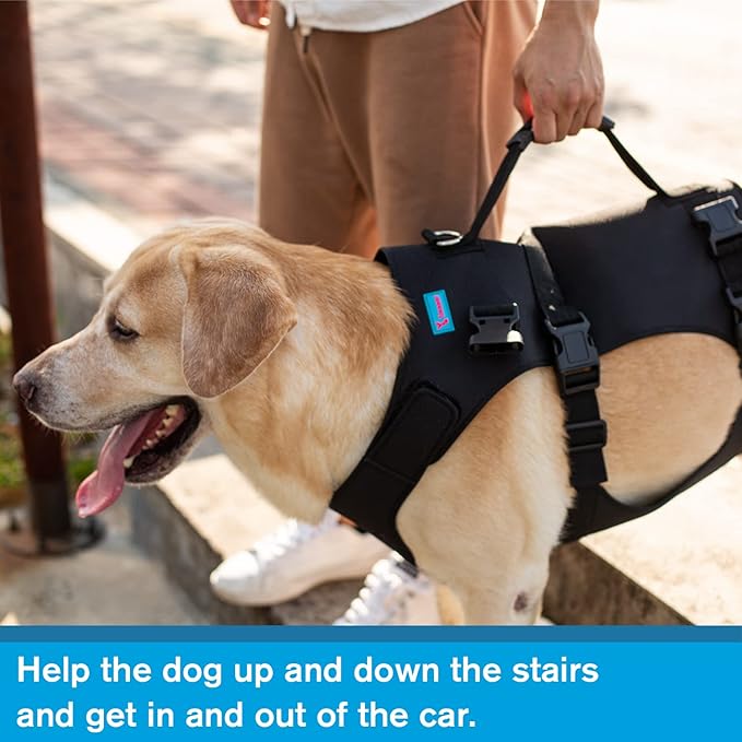 Dog Lift Harness, Rehabilitation Lifts Vest for Dogs, Support &amp; Recovery Sling, Adjustable Breathable Lifting Straps for Old, Joint Injuries, Arthritis, Paralysis Dogs Walk (S, Black)