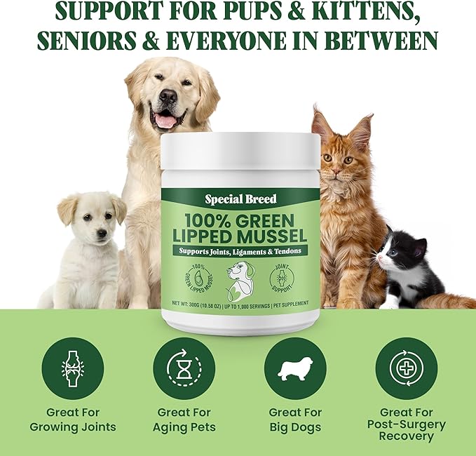 Green Lipped Mussel Powder for Dogs &amp; Cats - 100% New Zealand Green Lipped Mussels - Natural Hip &amp; Joint Supplement for Joints, Tendons, Ligaments, Muscles - 300 Grams - Up to 1,000 Servings