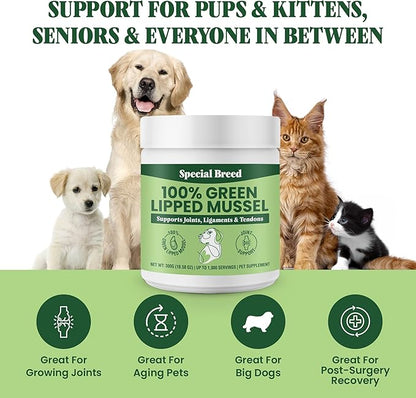 Green Lipped Mussel Powder for Dogs &amp; Cats - 100% New Zealand Green Lipped Mussels - Natural Hip &amp; Joint Supplement for Joints, Tendons, Ligaments, Muscles - 300 Grams - Up to 1,000 Servings