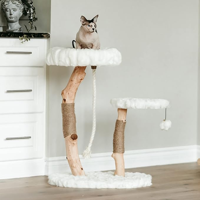 Mau Lifestyle Luxury Cat Tree: Modern Cat Condo &amp; Luxury Wood Cat Tower; Natural Branch Scratching Tree &amp; Cat Condo; Cat Gifts by Mau
