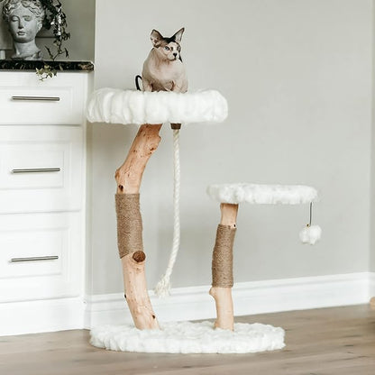 Mau Lifestyle Luxury Cat Tree: Modern Cat Condo &amp; Luxury Wood Cat Tower; Natural Branch Scratching Tree &amp; Cat Condo; Cat Gifts by Mau