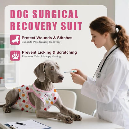 Recovery Suit for Dogs After Surgery, Professional Dog Surgical Suit for Female Spay, Male Neuter, E-Collar &amp; Cone Alternative Dog Onesie for Abdominal Wounds Skin Disease, Fruit, M