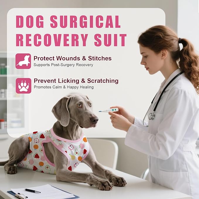 Recovery Suit for Dogs After Surgery, Professional Dog Surgical Suit for Female Spay, Male Neuter, E-Collar &amp; Cone Alternative Dog Onesie for Abdominal Wounds Skin Disease, Fruit, S