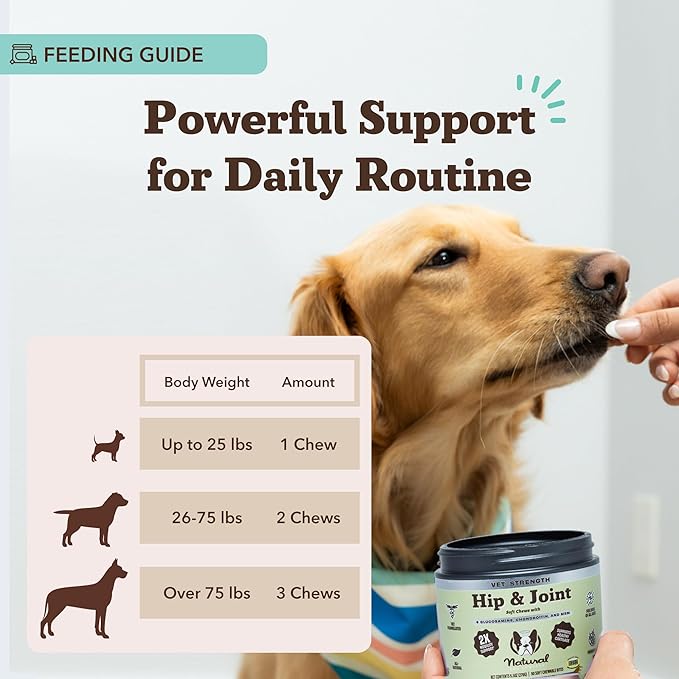 Natural Dog Company Vet Strength Hip &amp; Joint Chews for Senior Dogs (90ct) Joint &amp; Flexibility Support, Arthritis Relief for Senior Dogs, 1.3X Glucosamine, 2X Green Lipped Mussel &amp; MSM for Dog Mobility