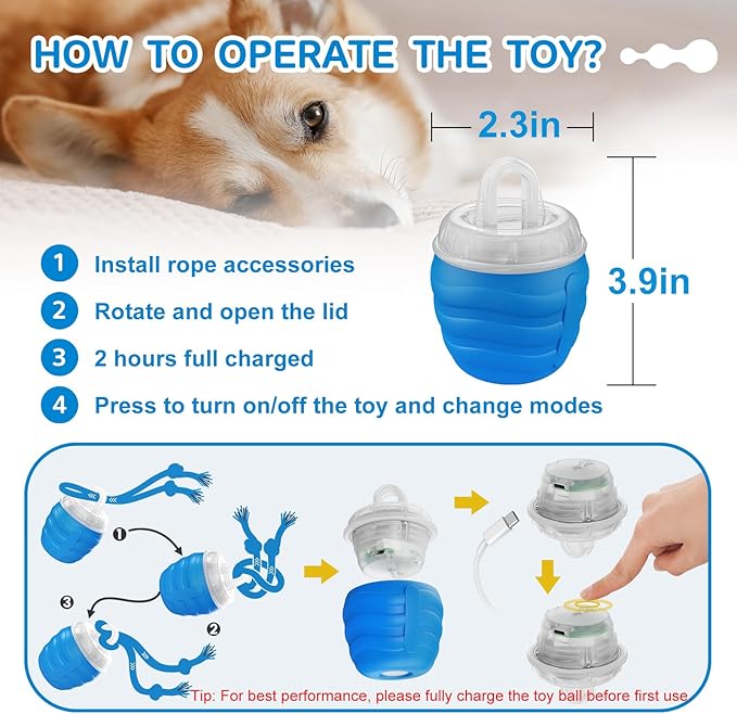 Interactive Dog Toys - [2025 Newly Upgraded] Motion Activated Ball for Small/Medium/Large Dogs, Automatic Moving Dog Toy Wicked Ball for Boredom &amp; Training, Music, USB Rechargeable (Blue)