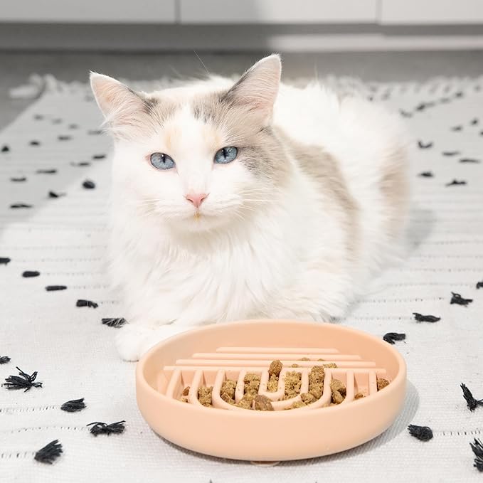 The Slowdown Bowl Silicone Slow Feeder for Cats &amp; Kittens, Slow Eating Mealtime Solution with Modern Lick Mat Design, Reduces Gulping, Fits 1 Cup 6” Across x 1.25” Tall, Small-Tan