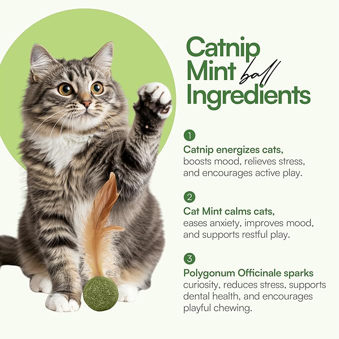 3 Pcs Catnip Balls with Feathers – Natural Catnip Toy for Play, Stress Relief &amp; Healthy Enrichment Interactive Cat Toys Perfect for Indoor Cats &amp; Kittens, Encourages Active Play &amp; Wellness
