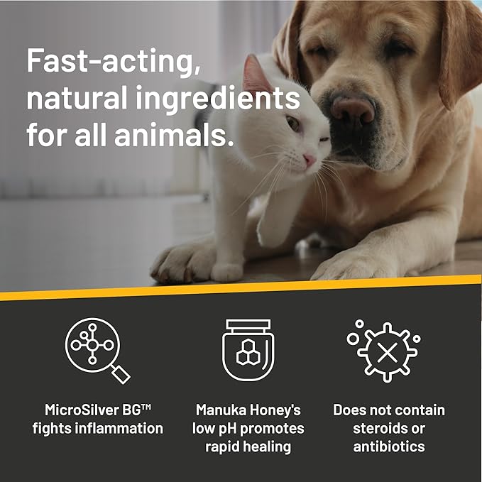 Absorbine Silver Honey Hot Spot &amp; Wound Care Spray Gel 8oz Bottle, Manuka Honey &amp; MicroSilver BG, Medicated for Dogs, Cats, Small Animals