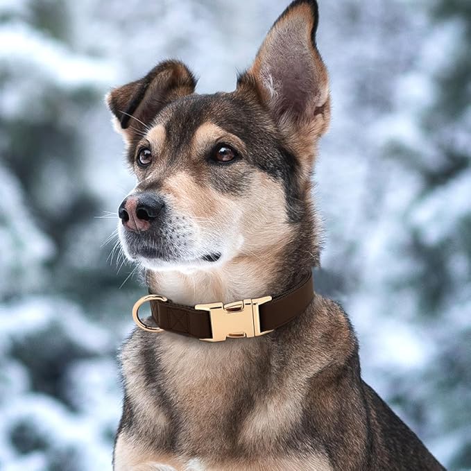 PET ARTIST PU Leather Dog Collar, Bright &amp; Stylish Brown Dog Collar with Quick Release Gold Metal Buckle, Soft Nylon Padded Durable Pet Collars Adjustable for Small Dogs, Neck Fit 9-14"