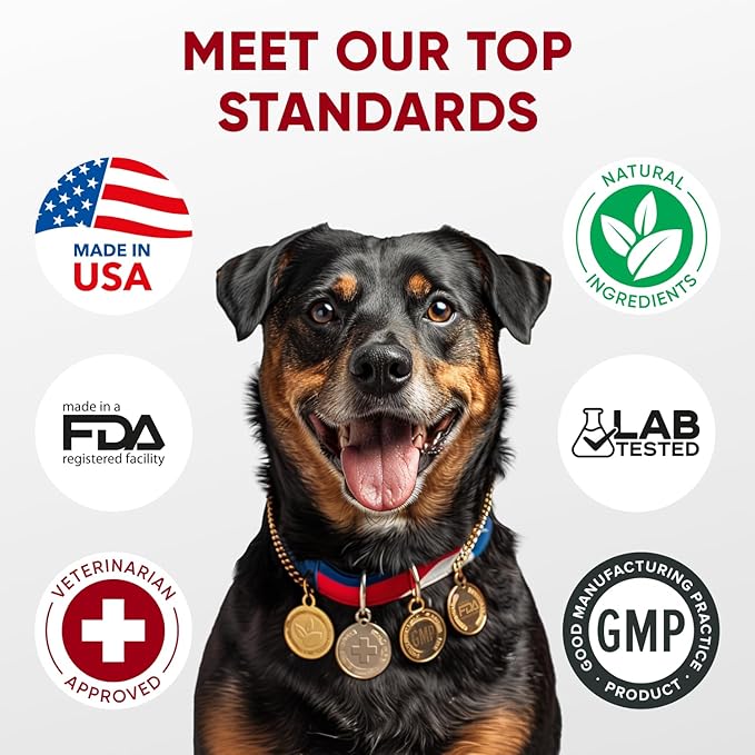 Probiotics for Dogs Digestive Health - Probiotic Chews for Gut Health, Itchy Skin Yeast, Diarrhea - USA Product - Immune Support Supplement - Dog Digestive Support &amp; Allergy Relief Chews with Enzymes