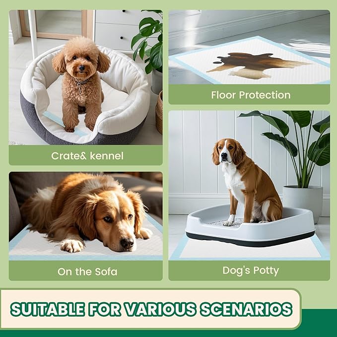 IMMCUTE Puppy Pads 30x28 Inches, 30 Count- Extra Large Super Absorbent Puppy Training Pads with Double Leak-Proof Layer | Thick Disposable Potty Pads for Dogs, Puppies &amp; Pets | Odor Control, Quick Dry