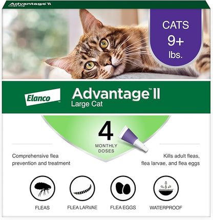 Advantage II Large Cat Vet-Recommended Flea Treatment &amp; Prevention | Cats Over 9 lbs. | 4-Month Supply