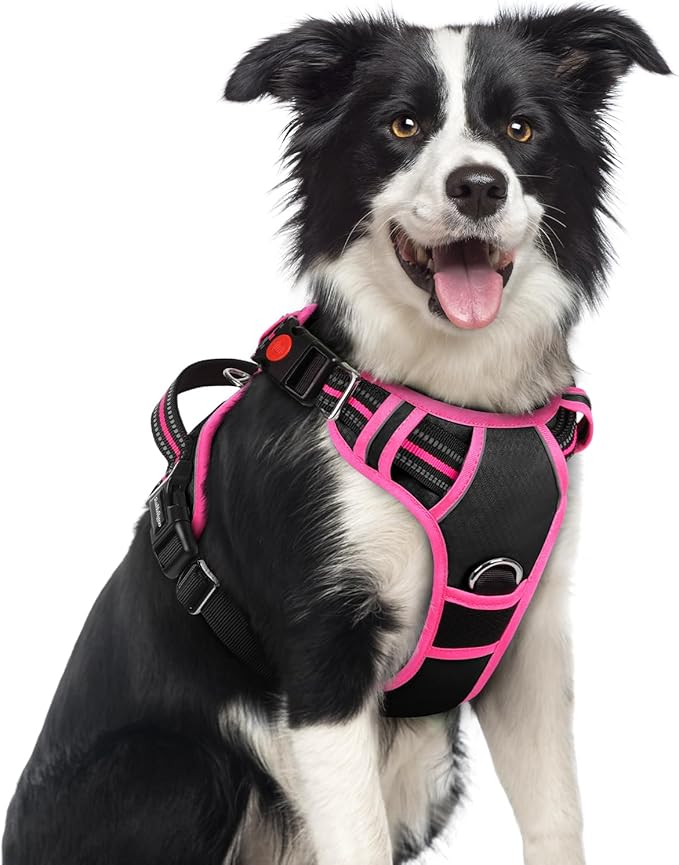 rabbitgoo Dog Harness Medium Sized, No Pull Dog Vest with 3 Buckles, Adjustable Soft Padded Pet Harness with Easy Control Handle and Reflective Strips, Black &amp; Rose Pink, M