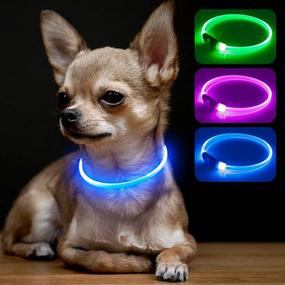 BSEEN Light Up Dog Collar, High Visibility LED Dog Collar Rechargeable- Rainproof TPU Cuttable Glowing Pet Collar for Small Dogs &amp; Cats - Puppy Safety Lights for Night Walking (XS- Blue 40cm)