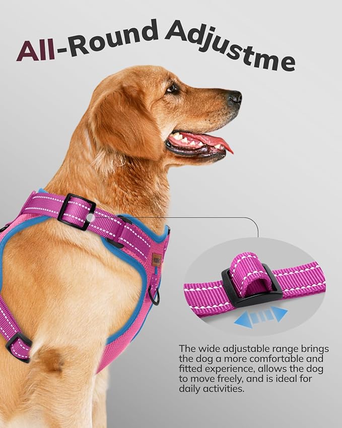 MIDOG No-Pull Dog Harness | Adjustable &amp; Reflective Pet Harness Leash Set for Small Medium Large Dogs Walking, Training| No Choke, Front Clip, Soft Padded Vest with Easy Control Handle - Pink, XL