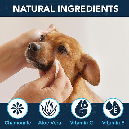 NOVEHA Dog Eye Wipes - Tear Stain Remover for Dogs - Formulated to Remove Eye Debris, Tear Stains &amp; Eye Discharge - Plant Based, Safe, Convenient, and Large Unscented Wipes (100 Count x 1 Package)