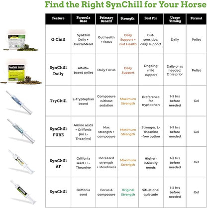SynChill Oral Horse Calming Gel, 100% Natural &amp; Nutritional Supplement, Lab Proven Results, Designed for Focus &amp; Performance, Approved by Olympic Professionals &amp; Veterinarians, Made in USA - 3-Pack
