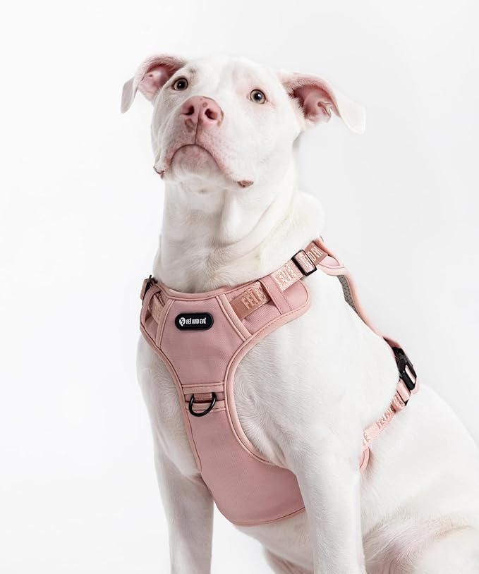 2025 New Edition, Fei &amp; Eve MagEase Dog Harness - 3-Second Magnetic Buckles | 3-Point No-Pull Control | Heavy-Duty 900D Nylon | Dual Safety Handles | Breathable Mesh | Adjustable Fit | Large, Pink
