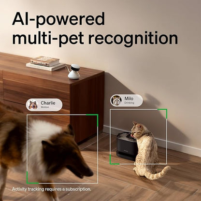 PETLIBRO 2-Packs AI Pet Camera Indoor with Phone app, Multi-Pet Recognition &amp; AI Summary, 360° Auto Tracking Night Vision Cat cam Dog cam, [One Dog Camera Requires One Subscription]