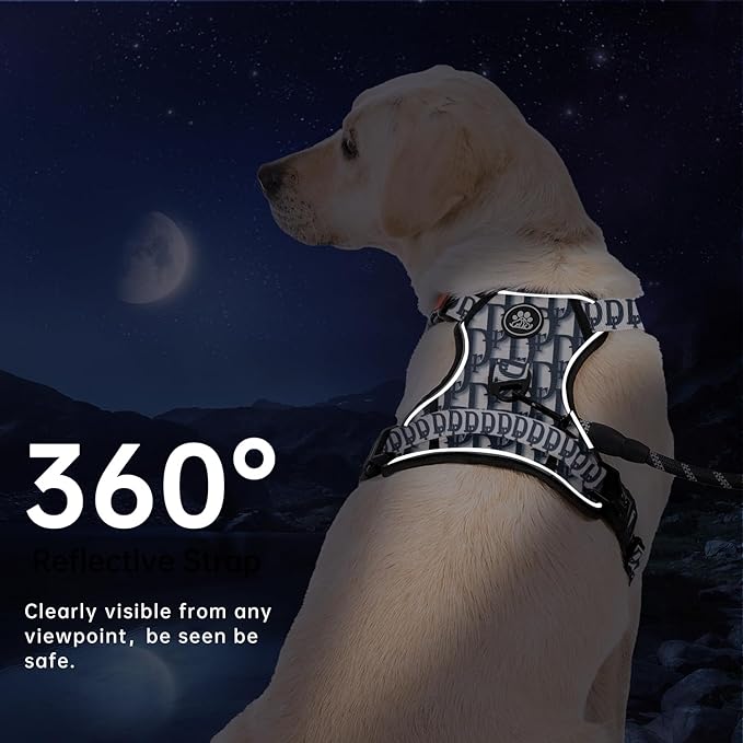 IVY&amp;LANE No Pull Dog Harness with Leash Set, Reflective No Choke Pet Vest,Adjustable Oxford Dog Vest Harness with Easy Control Handle for Small Dogs (Vintage Blue,S)