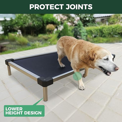 FXW TitanNest Chew-Proof Elevated Dog Bed, Raised Cot for Indoor/Outdoor/Camping Use, Durable &amp; Waterproof Cooling Pet Bed for Medium Dogs, 42.0" L x 27.0" W x 5.0" H, Black