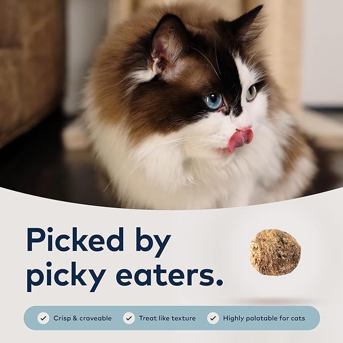 ZIWI Peak Steam &amp; Dried Cat Food – Cage-Free Chicken w/Whole Mackerel - High Protein, Skin &amp; Coat Health, Low Carb, for All Life Stages (78.4oz)