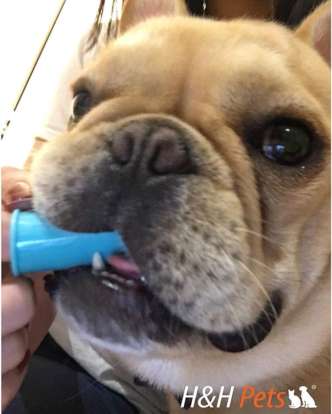 H&amp;H Pets Dog Finger Toothbrushes - Professional Pet Finger Dental Brush Set for Dogs Puppies Cats, Soft Bristles, Size Large 8 Count