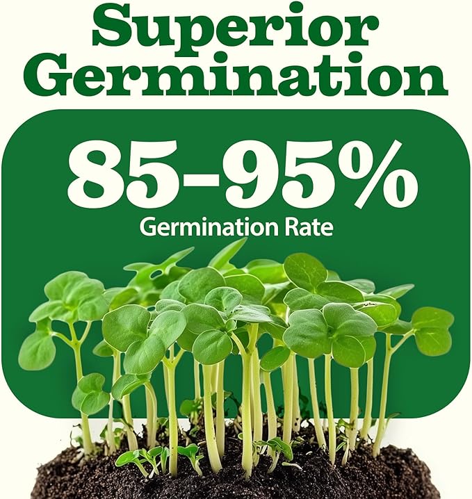HOME GROWN 𝗨𝗦𝗔 𝗣𝗥𝗘𝗠𝗜𝗨𝗠 55 Vegetable Seeds Pack 28,000+ Non-GMO Heirloom Seeds for Planting, Spring Fall Winter Garden Kit, Survival Seed Vault for Preppers &amp; Gardeners, Gift for Men &amp; Women