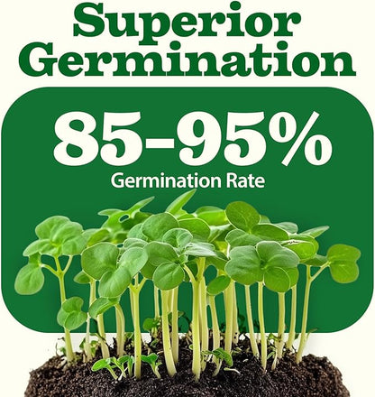 HOME GROWN 𝗨𝗦𝗔 𝗣𝗥𝗘𝗠𝗜𝗨𝗠 55 Vegetable Seeds Pack 28,000+ Non-GMO Heirloom Seeds for Planting, Spring Fall Winter Garden Kit, Survival Seed Vault for Preppers &amp; Gardeners, Gift for Men &amp; Women