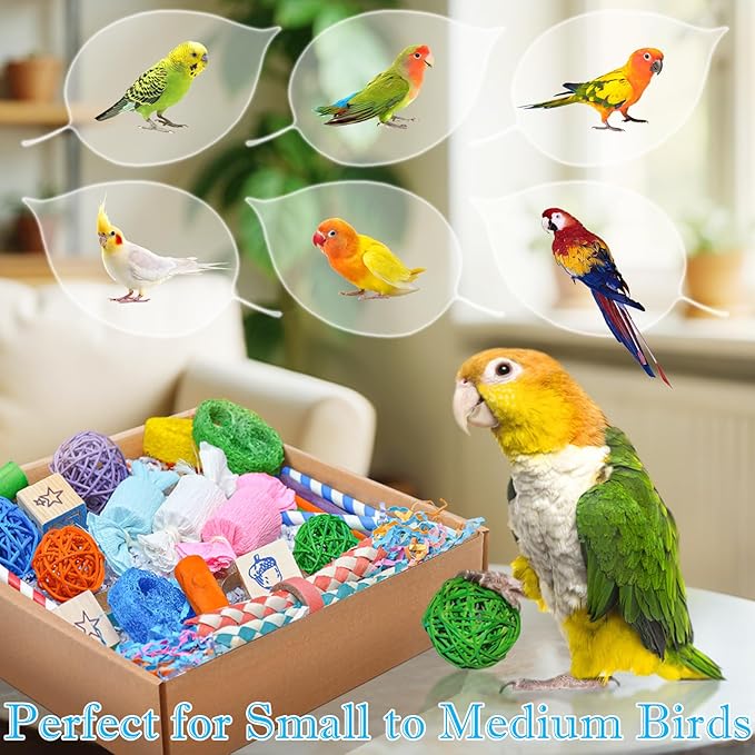 Colorful Bird Foraging &amp; Shredding Toys Box – Safe Bird Toys for Parakeets, Cockatiels, Conures &amp; Small Birds, Perfect for Spring and Summer