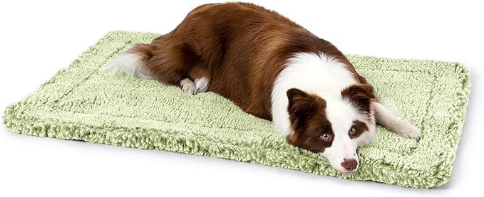 Stoutwool Indestructible Dog Bed - Fluffy Chew Proof Dog Crate Pad - Tough Kennel Pad for Aggressive Chewers - Washable, Ideal for Large Breeds &amp; Fits 36-Inch Crate - 35"x22", Gleam