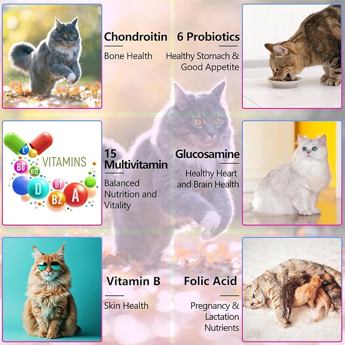 Cat Multivitamin,15 in 1 Cat Vitamins Liquid Drops Supplements for Heart Health, Bones, Joint, Skin &amp; Coat, Bladder, Immune System Support 60ml-2pcs