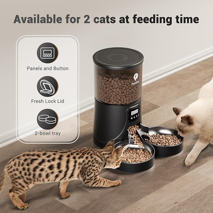 Automatic Cat Feeder for 2 Cats - 16 Cups/4L Timed Auto Pet Feeder with Portion Control (1-6 Meals), Dual Power&amp; Easy to Clean for Indoor Cats &amp; Small Dogs