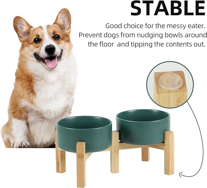 Ceramic Raised Double Bowls Set with Stand, 2 Heights Elevated, Food &amp; Water Bowls for Small Breed Dogs, Weighted Dog Dishes, Pet Bowl(6.1&