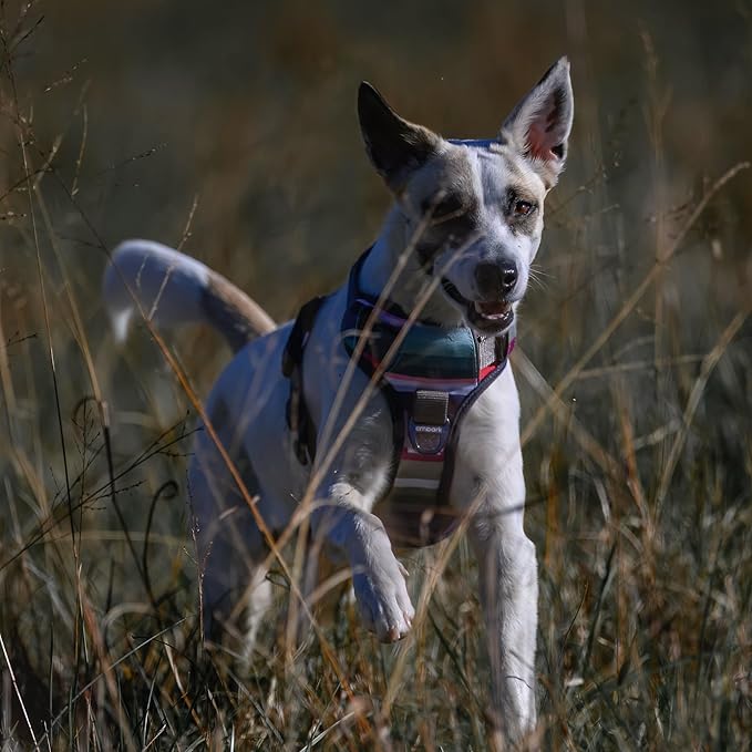 Embark Adventure Dog Harness, Reflective Trim No Pull Harness for Medium Sized Dog - Military Grade Nylon, Front Clip with Gel Lined Handle. Soft &amp; Padded Puppy