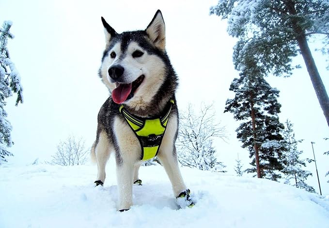 TRUE LOVE Truelove Adjustable No-Pull Dog Harness Reflective Pup Vest Harnesses Comfortable Control Brilliant Colors TLH5651(Neon Yellow,M)