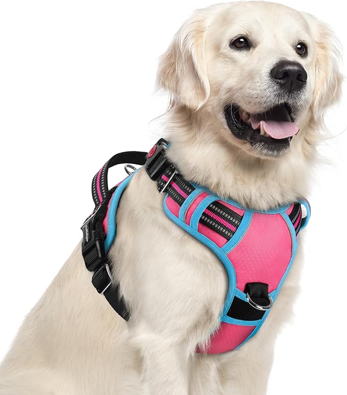 rabbitgoo Dog Harness for Large Dogs, No Pull Pet Vest with 3 Buckles, Adjustable Soft Padded Pet Harness with Easy Control Handle and Reflective Strips, Rose Pink &amp; Blue, XL