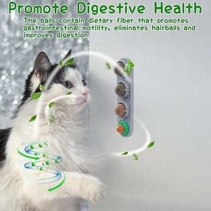 CCINEE Catnip Balls for Cats Wall Catnip Toys Edible Cat Toys for Cat Lick Safe Healthy Kitten Chew Toys Teeth Cleaning Dental Cat Toys(4 Flavor)