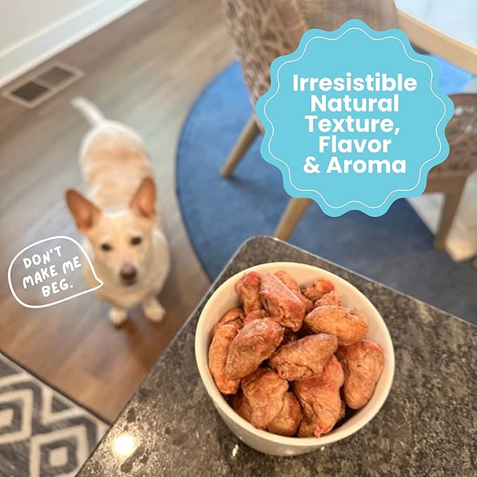 hotspot pets Freeze Dried Chicken Hearts for Cats &amp; Dogs - 1LB Big Bag- Made in USA -Single Ingredient All Natural Grain-Free -Resealable Bag- Perfect for Training, Topper or Snack, Allergen-Free