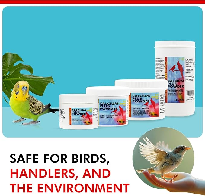 Morning Bird Calcium Plus Powder for Birds 6 oz – Calcium Carbonate Powder with Magnesium Glycinate &amp; Vitamin D – Bone Strength &amp; Immune Support Supplement – Calcium Formula for All Bird Sizes
