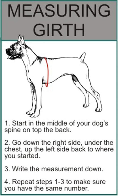 Doggie Stylz Blind Dog Harness No Pull No Escape Dog Vest for Blind Dogs Adjustable Vest with Handle Blind Dog Accessories and Patches for Training and Mobility