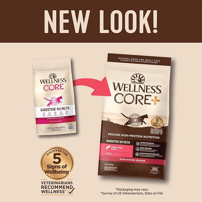 Wellness CORE+ Adult Dry Cat Food for Indoor and Outdoor Cats, Wholesome Grains, Natural, Digestive Health Salmon &amp; Rice (11 Pound Bag)