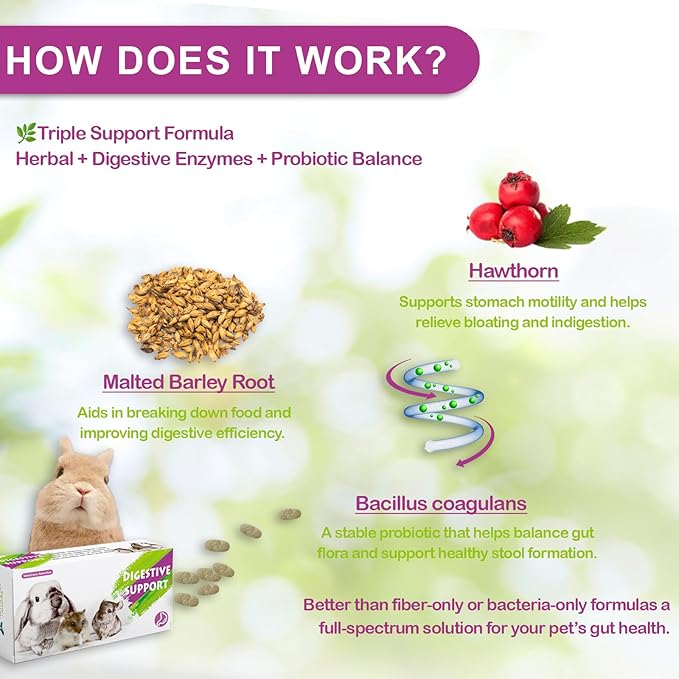 Digestive Support for Rabbits - High Fiber Probiotics, GI Stasis Prevention, Promote Gut Motility, Critical Care Herbivore Supplement, Rabbit &amp; Guinea Pig Treats/Food, 36 Capsules