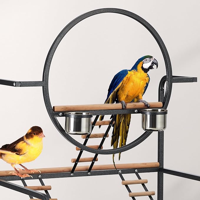 Bird Playstand, 66&