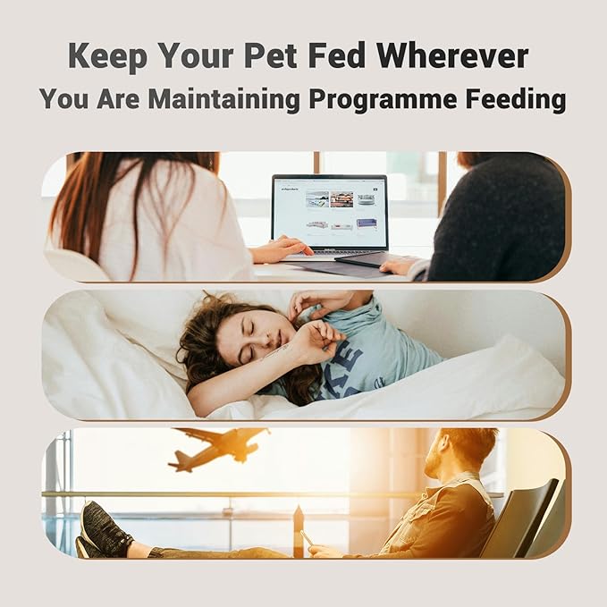 Automatic Cat Feeder for 2 Cats - 16 Cups/4L Timed Auto Pet Feeder with Portion Control (1-6 Meals), Dual Power&amp; Easy to Clean for Indoor Cats &amp; Small Dogs