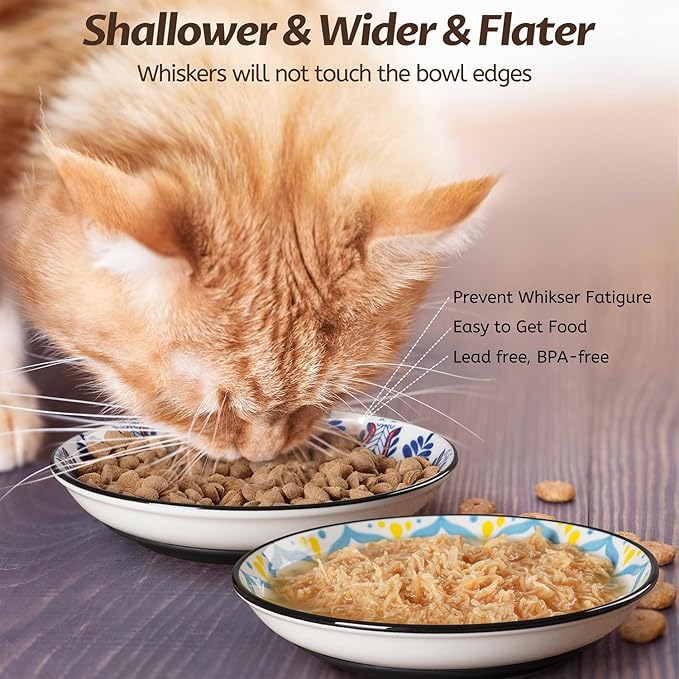 Non-Slip Cat Bowl,Ceramic Cat Food Bowls with Silicone Bottom, Anti-Whisker Fatigue Cats Dishes Set, Shallow &amp; Wide Kitten Plates for Food and Water, 4 Pack