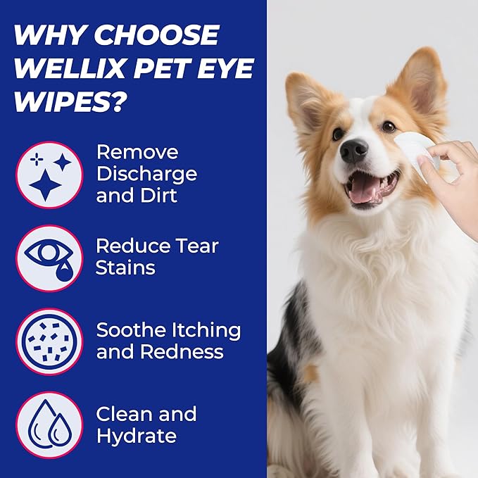 Wellix Dog &amp; Cat Eye Wipes for Discharge and Crust - Pet Eye Wipes Tear Stain Remover for Dogs and Cats - Dog and Cat Grooming Wipes for Eyes and Wrinkle - 110 Counts