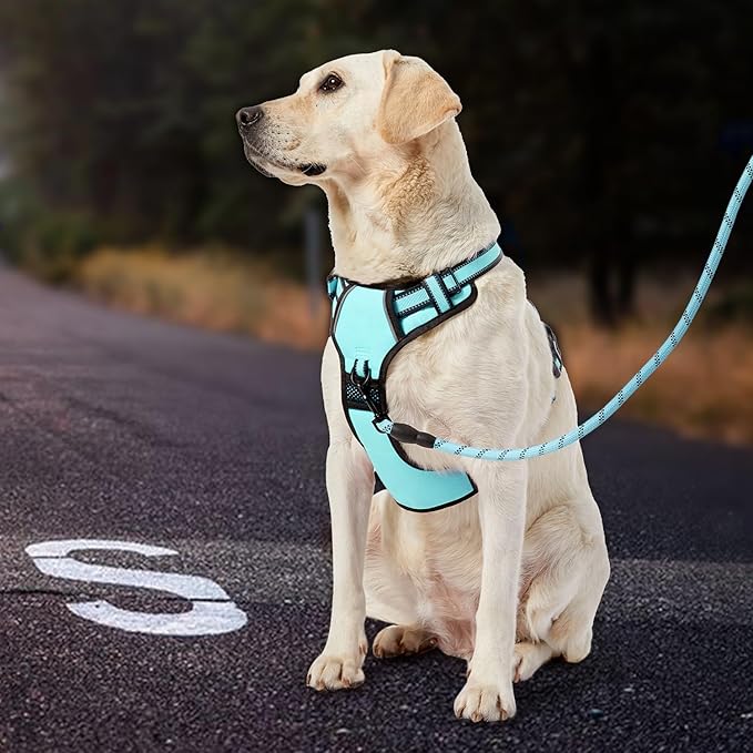 IVY&amp;LANE No Pull Dog Harness with Leash Set, Reflective No Choke Pet Vest,Adjustable Oxford Dog Vest Harness with Easy Control Handle for Large Dogs (Turquoise,XL)