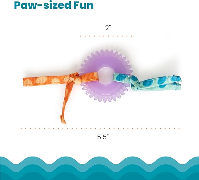 Catstages Kitty Chew Wheel, Dental Cat Toy with Catnip Oil, Teeth Cleaning, Healthy Chewing, Boredom Relief, Kicking &amp; Batting for Kittens and Adult Cats, Purple