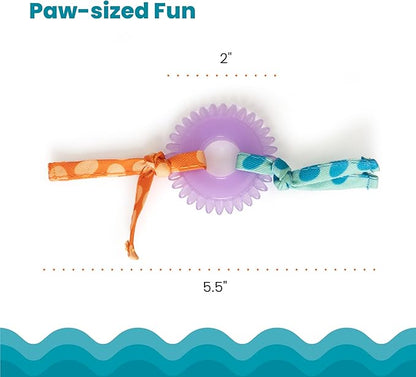 Catstages Kitty Chew Wheel, Dental Cat Toy with Catnip Oil, Teeth Cleaning, Healthy Chewing, Boredom Relief, Kicking &amp; Batting for Kittens and Adult Cats, Purple